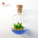 تراریوم مینیاتوری منظره جزیره و دریا گردنبند شیشه ای کوچک