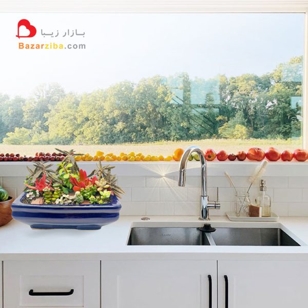 دیش گاردن ساکولنت کاکتوس کنار پنجره نورگیر خانه انواع گل و گیاه رنگارنگ گوشتی مقاوم در باغ ظرفی