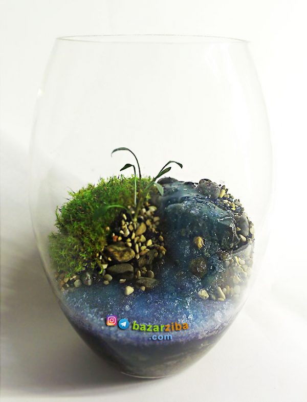 گلدان تراریوم با طرح منظره رودخانه جاری و چشمه سار با گیاهان و خزه طبیعی برای دکوراسیون و هدیه