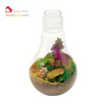 تراریوم لامپی با انواع گلهای مناسب تراریوم در شیشه مدل فانتزی طرح لامپ بزرگ